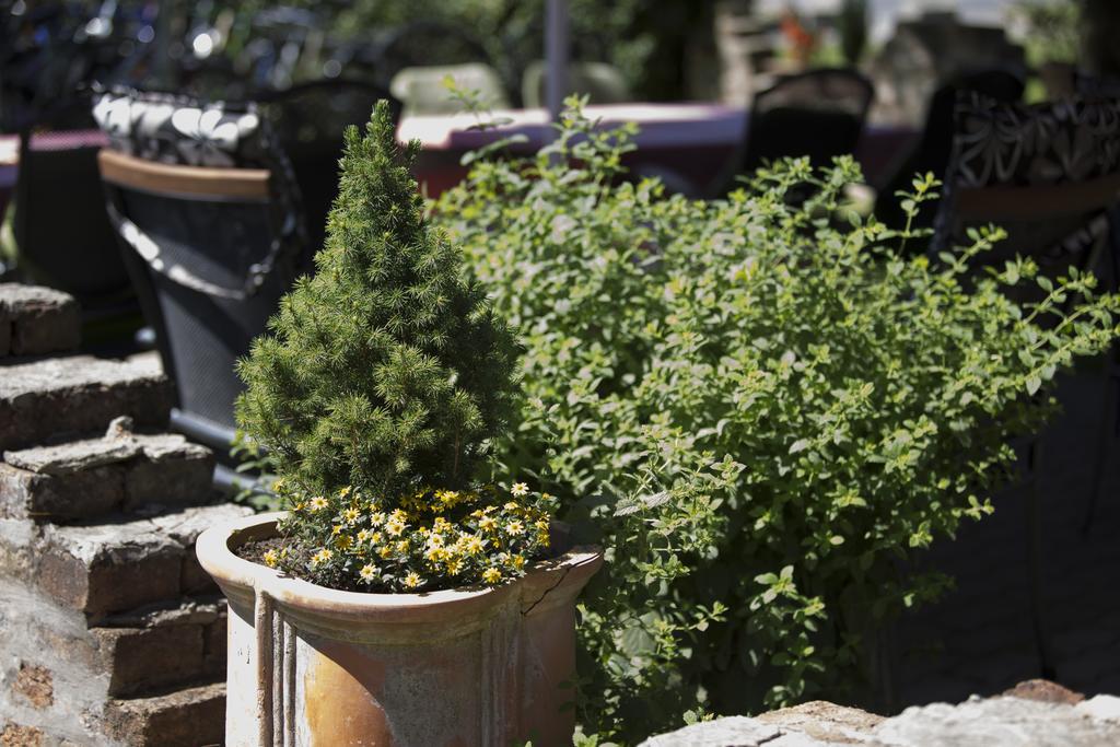 Hotel Zeta Lenti Bagian luar foto